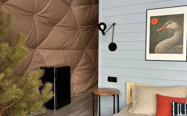 Частный дом Гусь