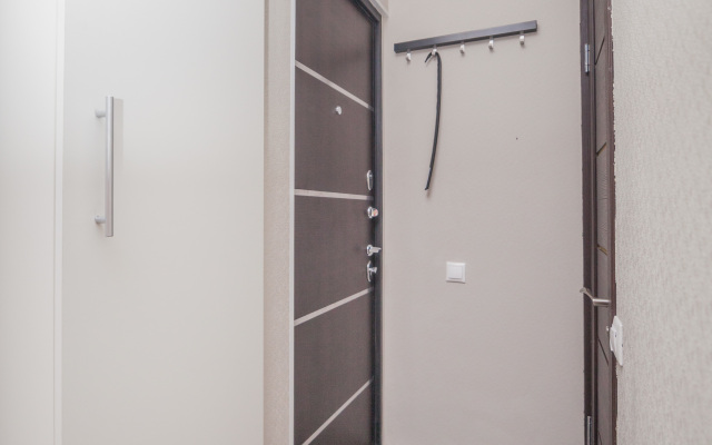 Studiya Na Voronitsyna Apartments