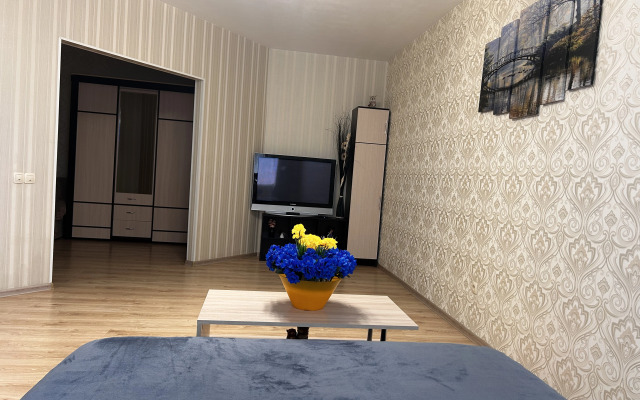 Prostornaya Uyutnaya V Tsentre Goroda Flat