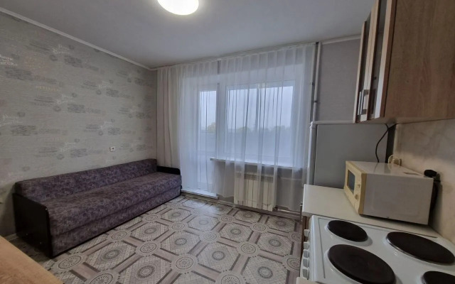 Na Radischeva  Flat