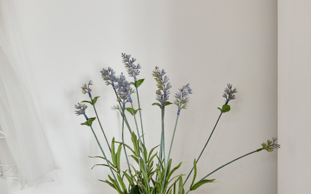 Апартаменты в Центре Бохо 1