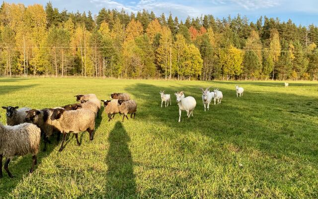 База отдыха Эко Хутор Рай Сяля