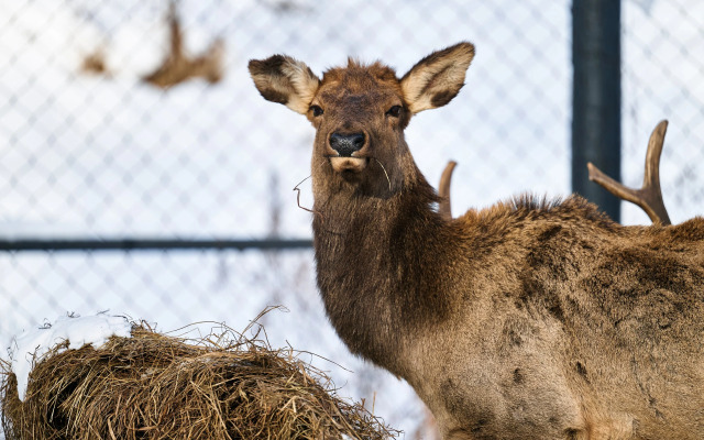 Отель Карым-Муны