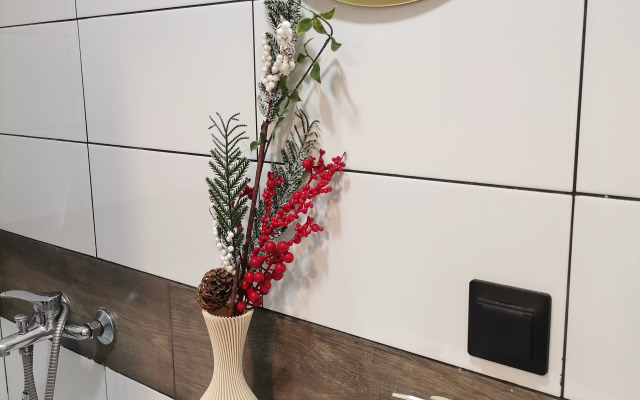 Апартаменты Северное Сияние Мелникайте 83к2 120