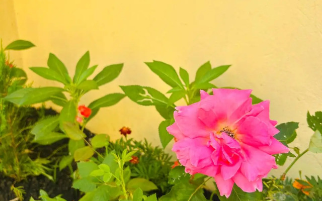 Sem'ya Guest House