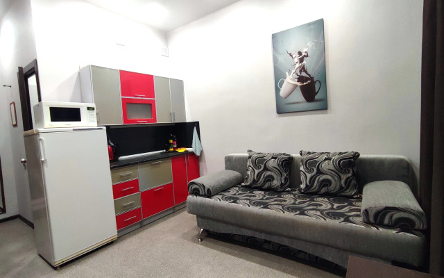 Nebolshaya uyutnaya studiya v tsentre Flat