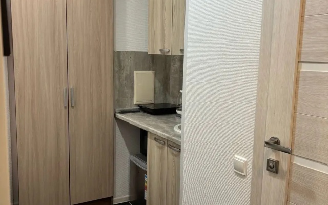 Апартаменты Gagarin Cozy Apartments