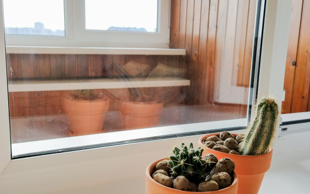 Апартаменты Asian dreams