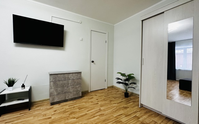Apart Krysha Mira Na Krasnoarmeyskoy Flat