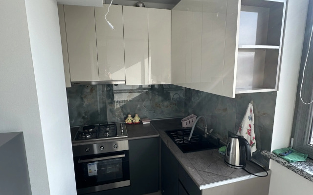 Апартаменты Homely 2