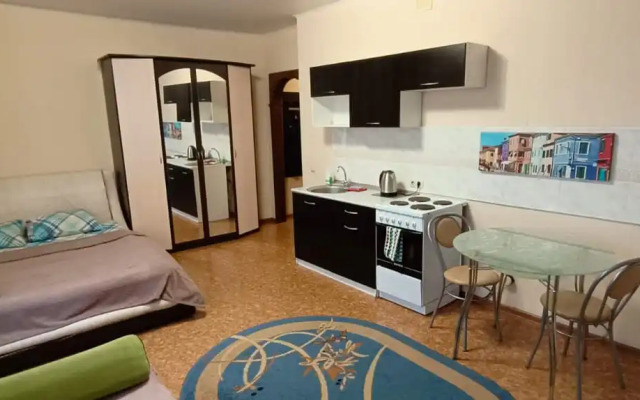 Апартаменты Центр студия ЖД Вояж