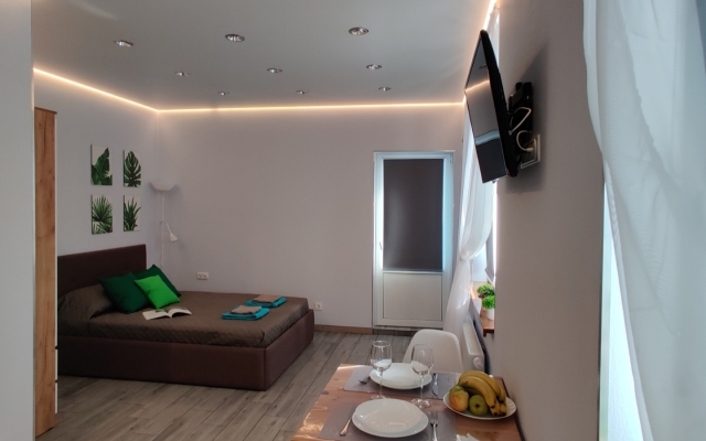 Uyutnaya Studiya U Parka Flat