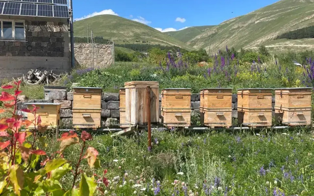 Частный дом Tooi Ecolodge