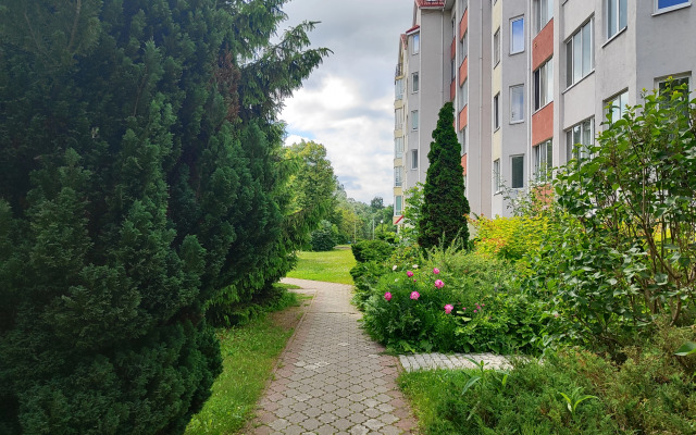 Квартира уютная в Амалиенау