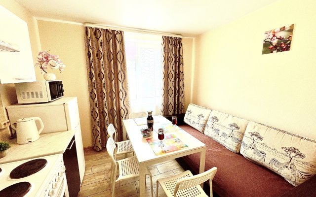 Уютные Апартаменты в доме у Космопорта (ул. Дыбенко 27а)