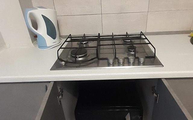 Uyutnaya kvartira v tsentre goroda Flat