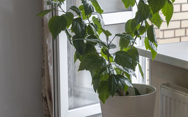 Апартаменты Юбилейные