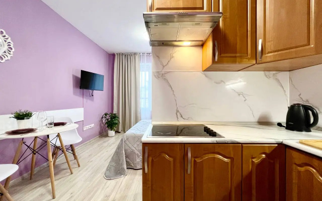 Studiya Gosti Doma u metro Pionerskaya Flat