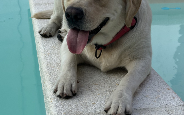 Гостевой дом Tulum Hotel