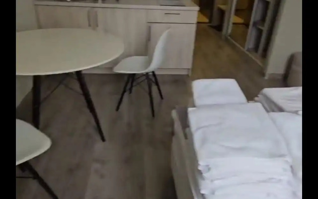 Samotsvet Studiya Ryadom S Aeroportom Flat