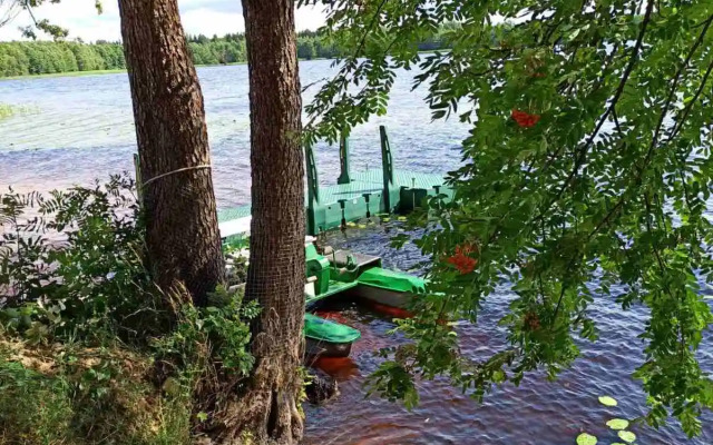 Гостевой дом Агроусадьба Яновский замок
