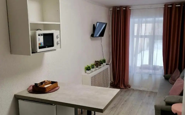 Апартаменты Студия N1 на Петроградке