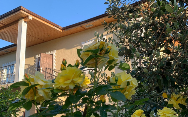 Divny Sad Guest House