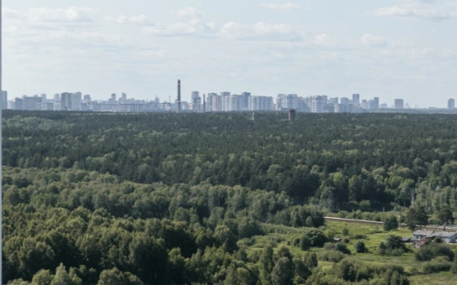 Апартаменты Серый Гусь