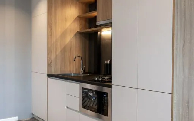 Eksklyuzivnye Dvukhurovneviye v Tsentre Goroda Apartments