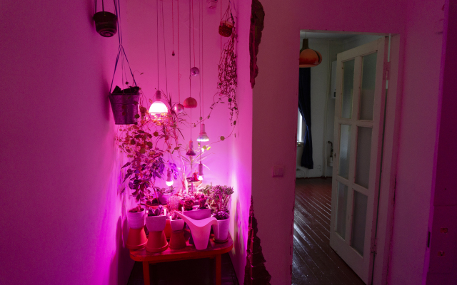 Zamok Guest House