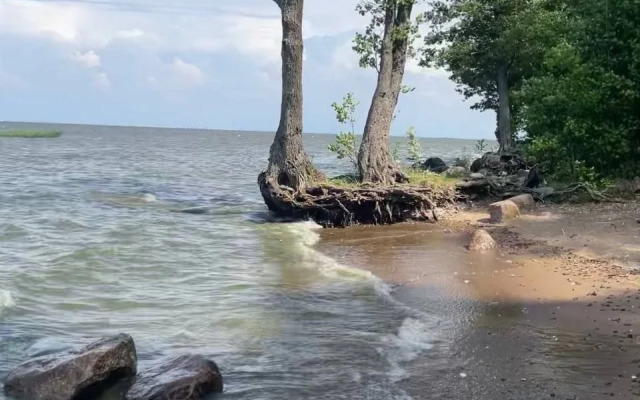 V Taunkhause U Mayaka Flat