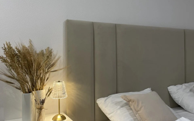 Апартаменты 1b Академика Павлова 56к1