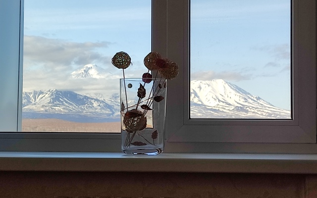 Квартира Уютная с видом на вулканы