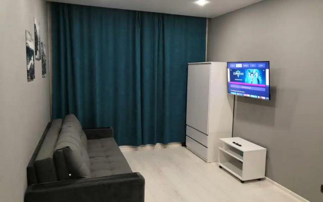 Квартира Олимпийская 87-27