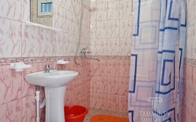 Guest house Semeyny