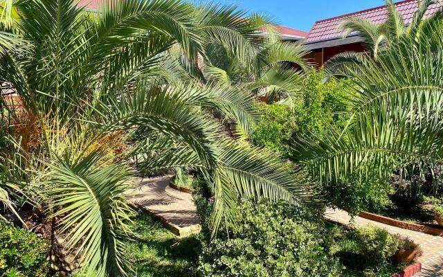 Rozovy Flamingo  Guest House