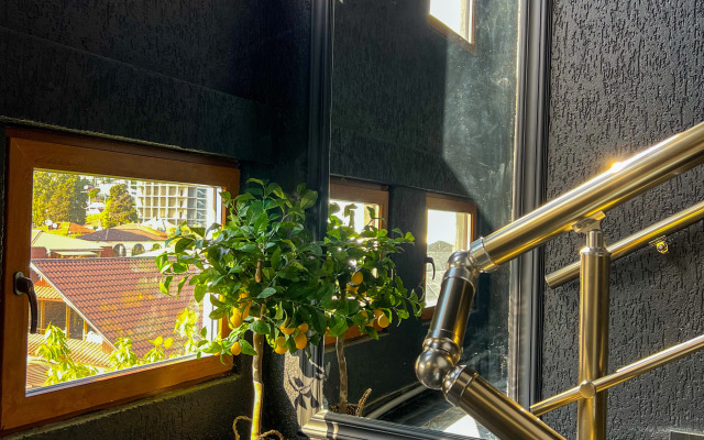 Hotel Medoviy