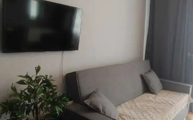 Квартира однокомнатная на улице Гребенщикова 5/1