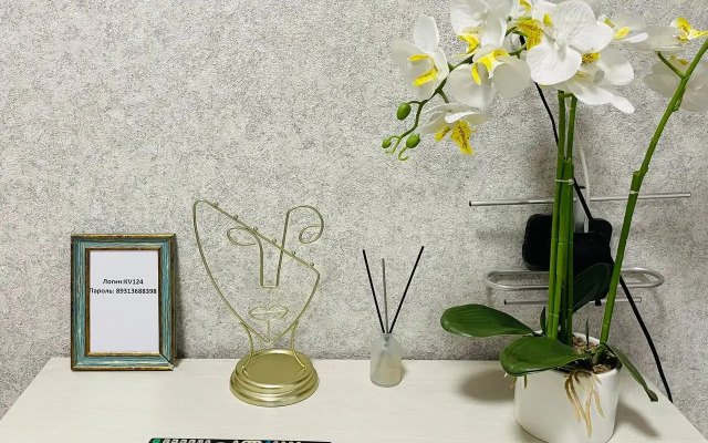 Квартира Уютная студия в п.Шушары, Школьная 15