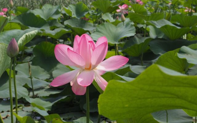 База Отдыха Заповедная Сказка