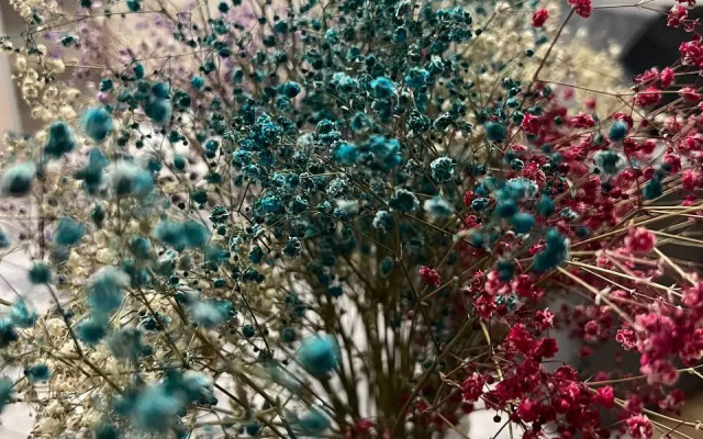 Квартира  в Центре Города