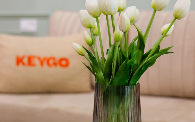 Апартаменты KeyGo 0213 комфорт и уют в городе