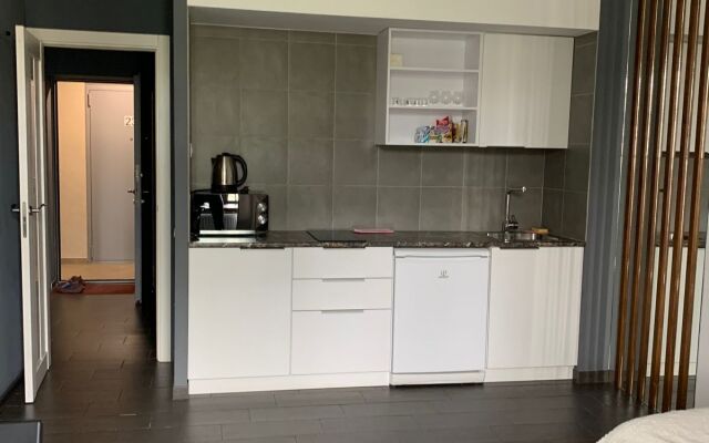 Квартира Apartanik