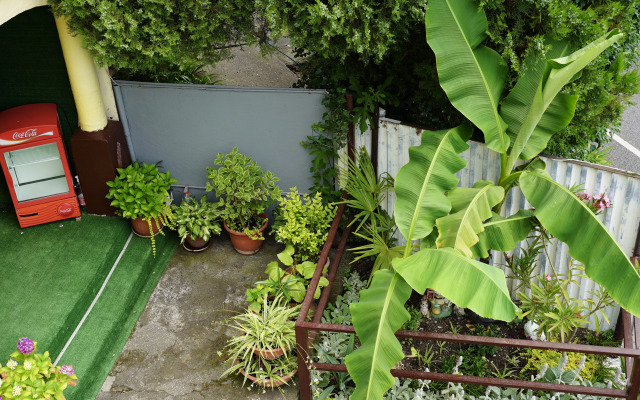 Laza Guest House