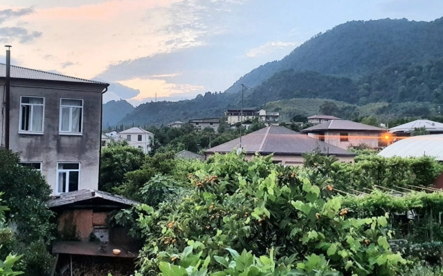 Abaza Guest House