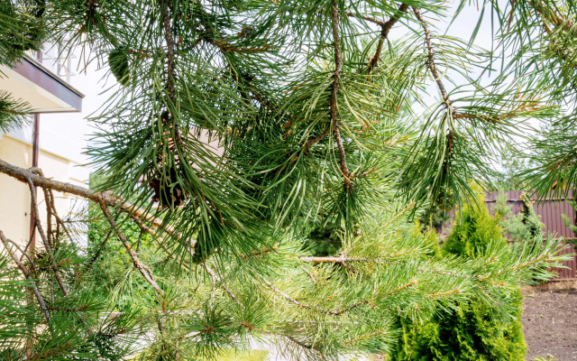 Квартира Дизайн-Студия Давид со SPA Комплексом с Бассейном