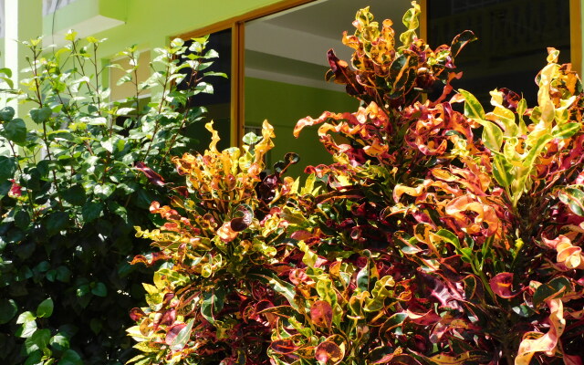 Casa de Huéspedes Yoli By Rotamundos