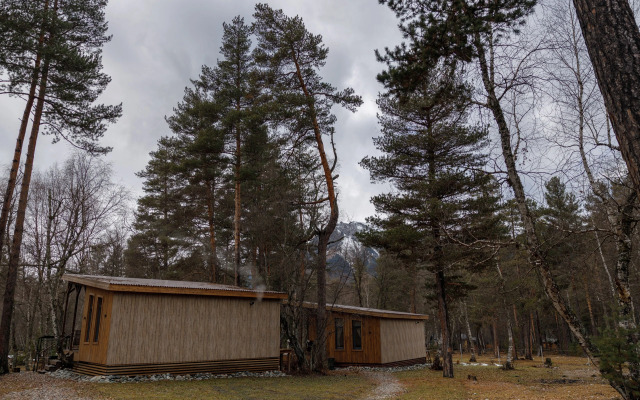 Гостевые дома Шишка