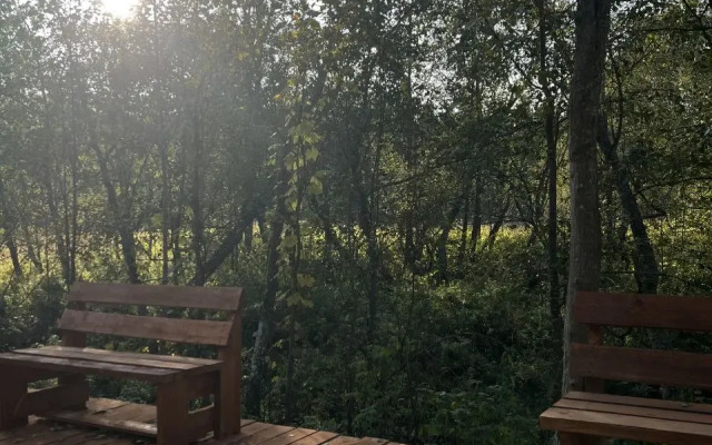 Siniy Domik V Lesu Na Zhivopisnoy Ulitse Glamping