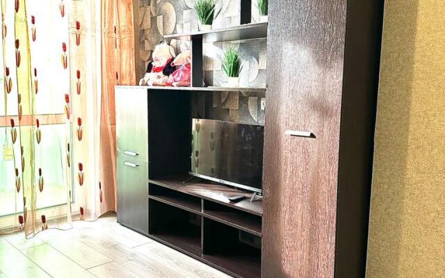 Na Chapaeva 61 Flat